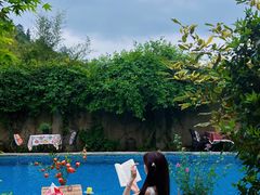 -看见远方·莫干遥远的山民宿