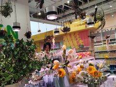 -KKV(上海月星环球港主力店)