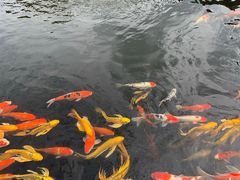 -东台西溪天仙缘景区