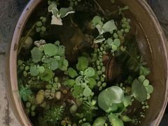 -川匠·睡眠采耳·SPA(九眼桥店)