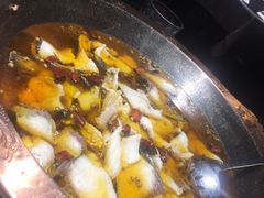 -雲蜀龙阁·金牌水煮鱼(方庄店)