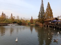 -溱湖国家湿地公园