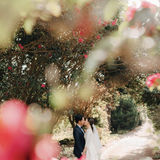 2020年 2.0森系婚纱照👰