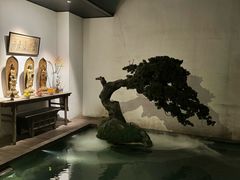 -觀芷隐轩