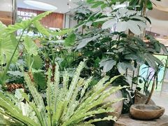 -吕氏疙瘩汤·海鲜新鲁菜(凯德mall新都心店)