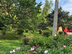-黑龙江省森林植物园