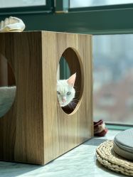 -齐伽生活馆·瑜伽·普拉提·阿育吠陀