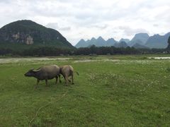 -Club Med地中海俱乐部·桂林度假村