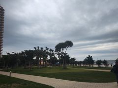 -美国村