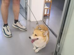 -心仪动物医院·牙专科·肿瘤·心脏科(西客站院)