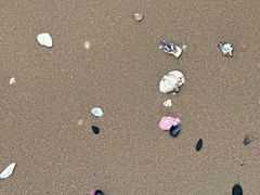 -金梦海湾浴场