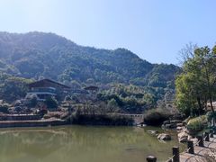 -桃花岭景区