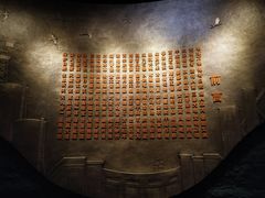 -陕西自然博物馆