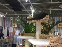 -小时光咖啡馆(开森度假森林店)
