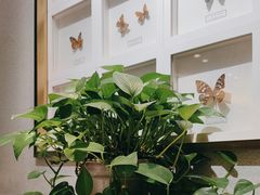 -峨嵋小镇(远洋城店)
