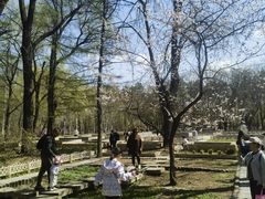 -黑龙江省森林植物园