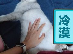 -联合动物医院(光谷诊疗中心)