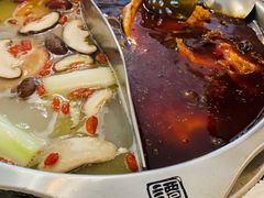 红白锅底-冯鱼头火锅(青蓝山美食一条街店)