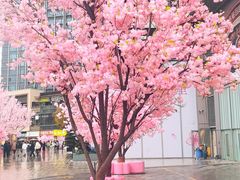 -首开·龙湖成都西宸天街