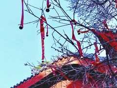 -七曲山风景区