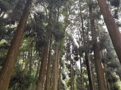 -青城山