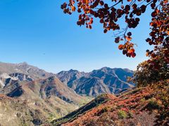 -北京西山国家森林公园