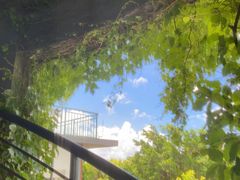 -芒洲湿地公园