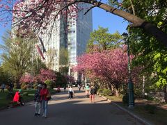 -北海道厅旧本厅舍(旧本庁舎)