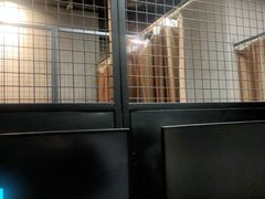 -网鱼网咖·电竞(南开百脑汇店)