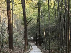 -敬亭山风景名胜区