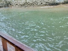 -桐君山春江扬帆码头