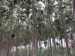 -仁和公园(顺义区)