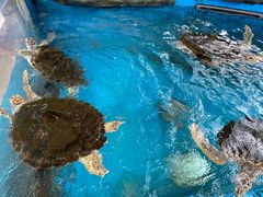 -成都浩海立方海洋公园