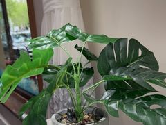 -渔码头食府·20年蓬莱老字号(登州路店)