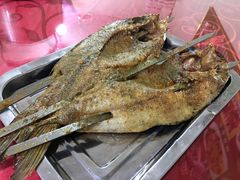 -煲来饱去冷水鱼