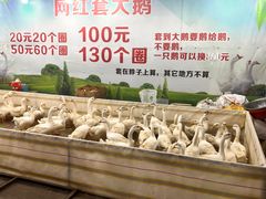 -塔湾兴顺国际观光夜市