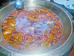 -云鱿记鱿鱼鸡·野生菌火锅(人民南路店)