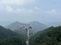 -栾川竹海野生动物园