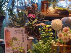 -自由生长植物工作室(深港花卉中心店)