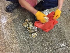 -华威西营里农产品批发市场