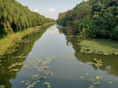 -昆山城市生态森林公园