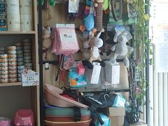 -中农大我爱我爱24h动物医院·中医针灸·猫专科·骨科医疗中心(双井店)