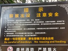 -苏州上方山国家森林公园