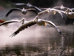 -Sony Store索尼(广州正佳店)