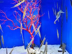 -多彩贵州城极地海洋世界