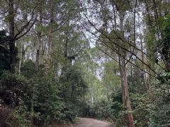-火炉山森林公园
