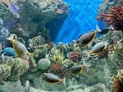 -福州罗源湾海洋世界旅游区