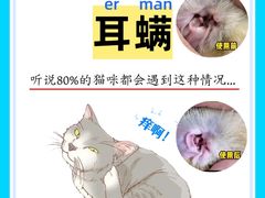 -康成宠物医院24H·CT·核磁共振
