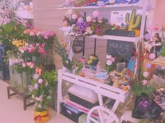 景观位-随心小姐