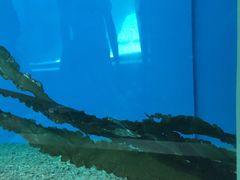 iphone_upload_pic-北戴河圣蓝海洋公园